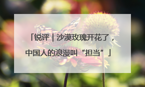 锐评｜沙漠玫瑰开花了，中国人的浪漫叫“担当”