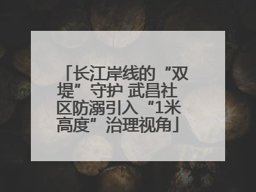 长江岸线的“双堤”守护 武昌社区防溺引入“1米高度”治理视角