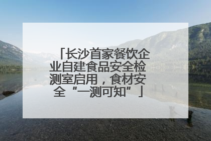长沙首家餐饮企业自建食品安全检测室启用，食材安全“一测可知”