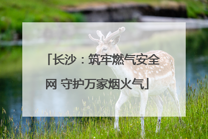 长沙：筑牢燃气安全网 守护万家烟火气