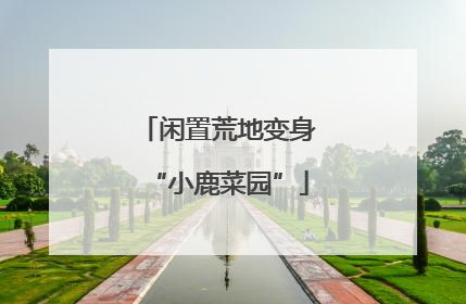 闲置荒地变身“小鹿菜园”