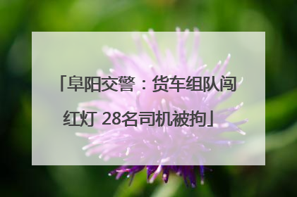 阜阳交警：货车组队闯红灯 28名司机被拘