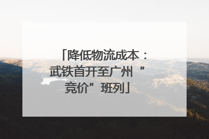 降低物流成本：武铁首开至广州“竞价”班列