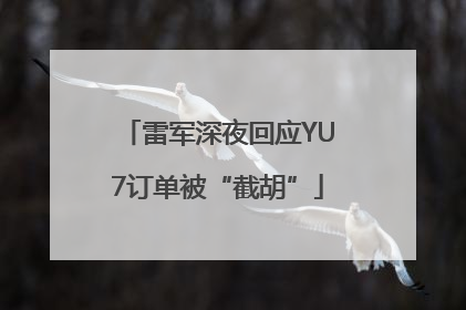 雷军深夜回应YU7订单被“截胡”