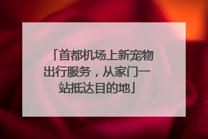 首都机场上新宠物出行服务，从家门一站抵达目的地