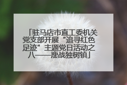 驻马店市直工委机关党支部开展“追寻红色足迹”主题党日活动之八——鏖战独树镇