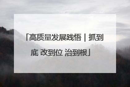 高质量发展践悟｜抓到底 改到位 治到根