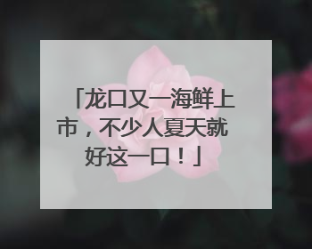 龙口又一海鲜上市，不少人夏天就好这一口！