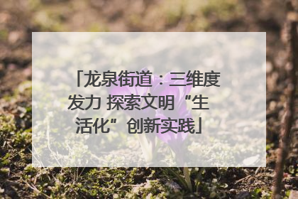 龙泉街道：三维度发力 探索文明“生活化”创新实践