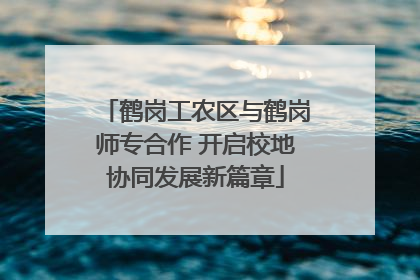 鹤岗工农区与鹤岗师专合作 开启校地协同发展新篇章