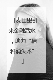 麦田里引来金融活水，助力“秸秆消失术”