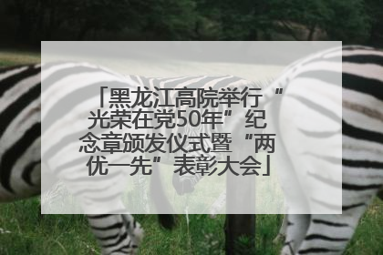 黑龙江高院举行“光荣在党50年”纪念章颁发仪式暨“两优一先”表彰大会