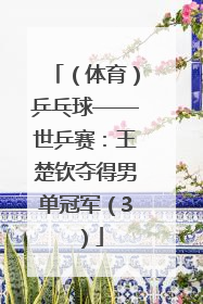 （体育）乒乓球——世乒赛：王楚钦夺得男单冠军（3）