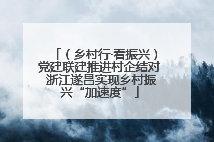 （乡村行·看振兴）党建联建推进村企结对 浙江遂昌实现乡村振兴“加速度”