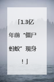 1.3亿年前“僵尸蚂蚁”现身！