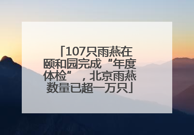 107只雨燕在颐和园完成“年度体检”，北京雨燕数量已超一万只