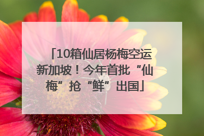 10箱仙居杨梅空运新加坡！今年首批“仙梅”抢“鲜”出国