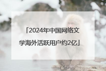 2024年中国网络文学海外活跃用户约2亿