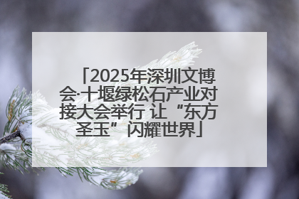 2025年深圳文博会·十堰绿松石产业对接大会举行 让“东方圣玉”闪耀世界