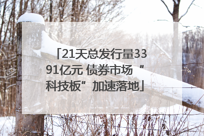 21天总发行量3391亿元 债券市场“科技板”加速落地