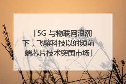 5G 与物联网浪潮下，飞骧科技以射频前端芯片技术突围市场