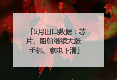 5月出口数据：芯片、船舶继续大涨 手机、家电下滑