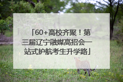 60+高校齐聚！第三届辽宁融媒高招会一站式护航考生升学路