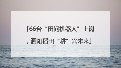66台“田间机器人”上岗，泗阳稻田“耕”兴未来