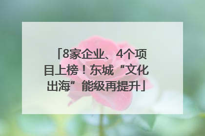 8家企业、4个项目上榜！东城“文化出海”能级再提升