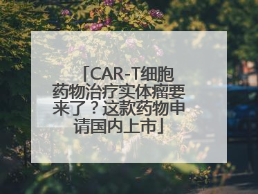 CAR-T细胞药物治疗实体瘤要来了？这款药物申请国内上市