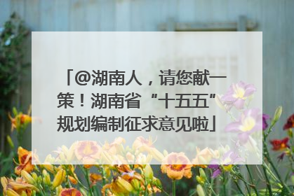 @湖南人，请您献一策！湖南省“十五五”规划编制征求意见啦