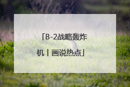 B-2战略轰炸机丨画说热点