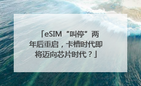 eSIM“叫停”两年后重启，卡槽时代即将迈向芯片时代？